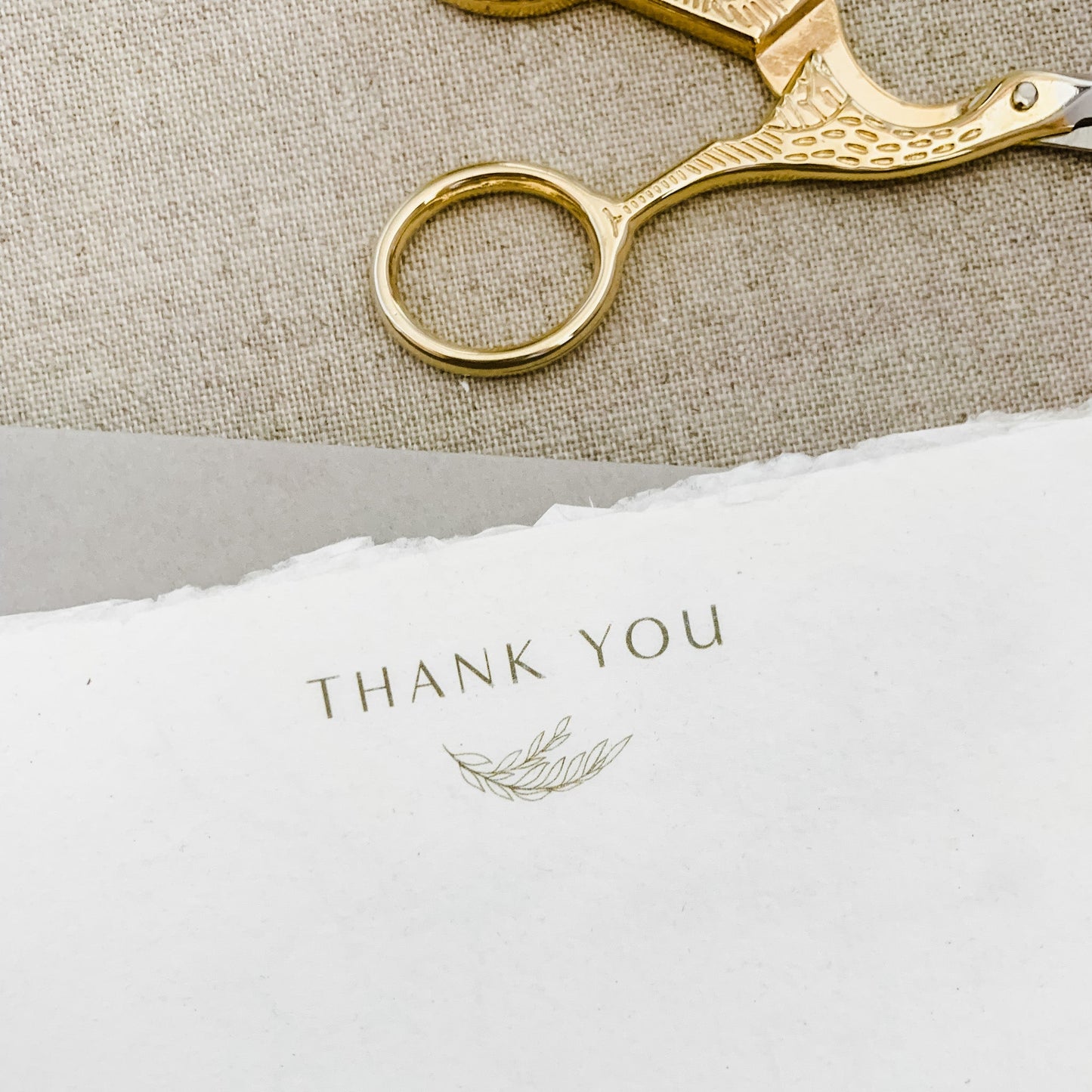 Thank You Note Cards